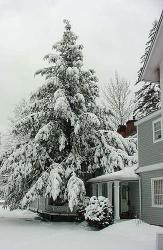 The Chester House in Winter